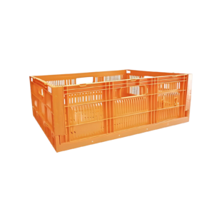 CAJA CPR COLAPSABLE 21
