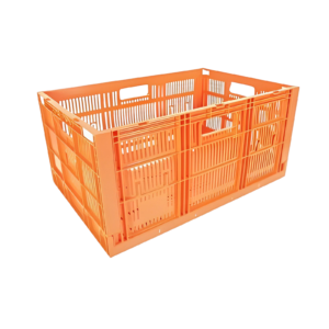 CAJA CPR COLAPSABLE 28